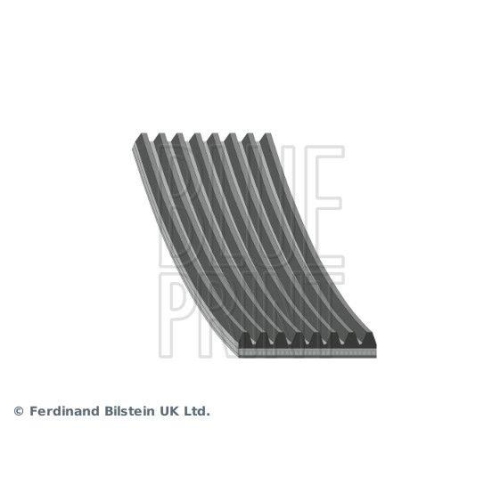 BLUE PRINT Keilrippenriemen