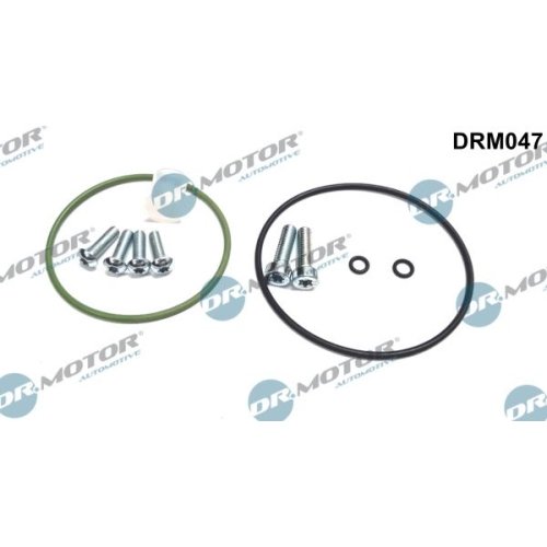 Dr.Motor Automotive Reparatursatz, Unterdruckpumpe (Bremsanlage)