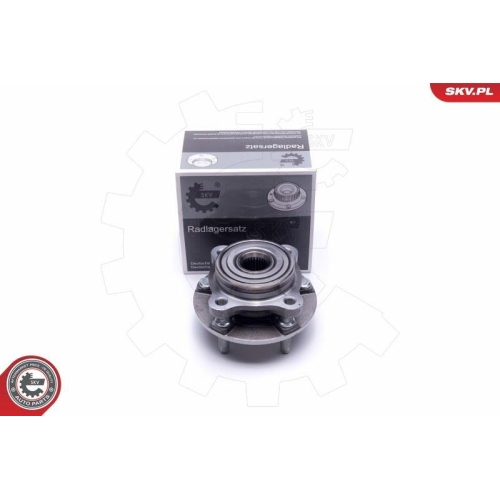 ESEN SKV Radlagersatz