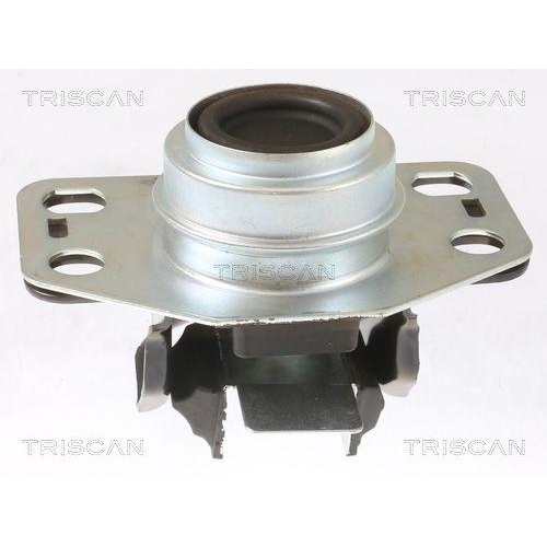 TRISCAN Lagerung, Motor