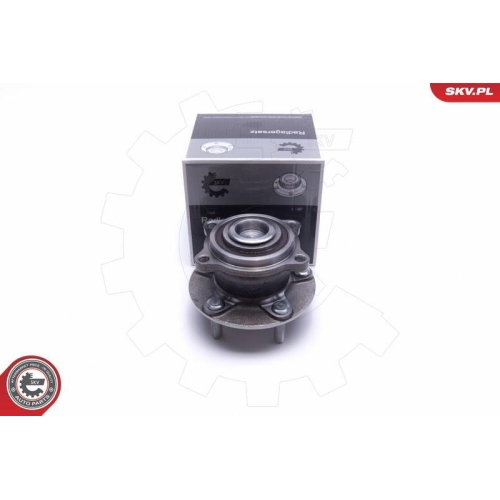 ESEN SKV Radlagersatz