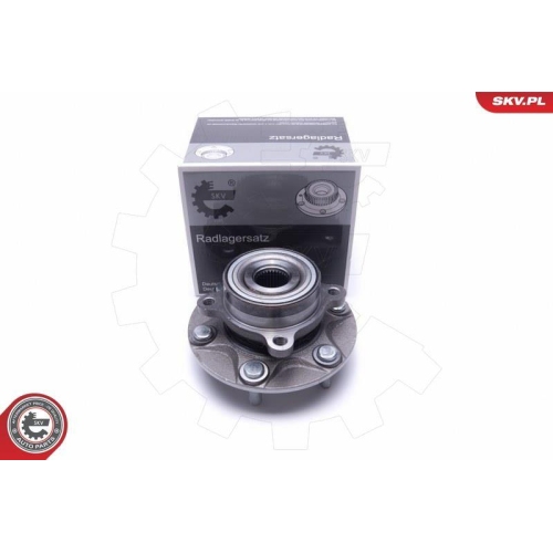 ESEN SKV Radlagersatz