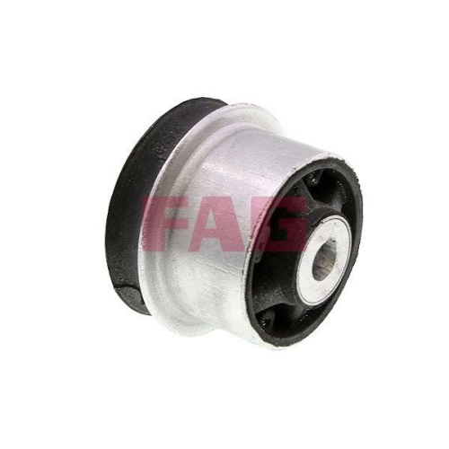 Schaeffler FAG Lagerung, Lenker