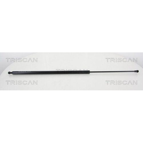 TRISCAN Gasfeder, Koffer-/Laderaum