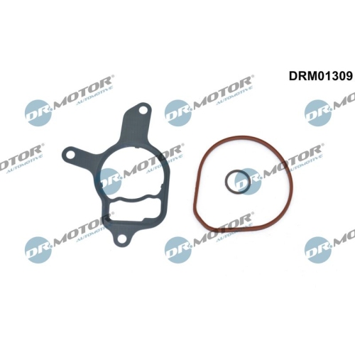 Dr.Motor Automotive Dichtungssatz, Unterdruckpumpe