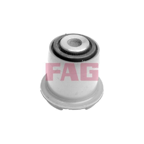 Schaeffler FAG Lagerung, Lenker