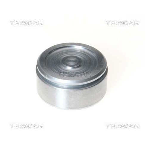 TRISCAN Kolben, Bremssattel