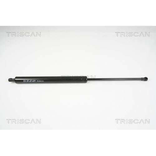 TRISCAN Gasfeder, Koffer-/Laderaum
