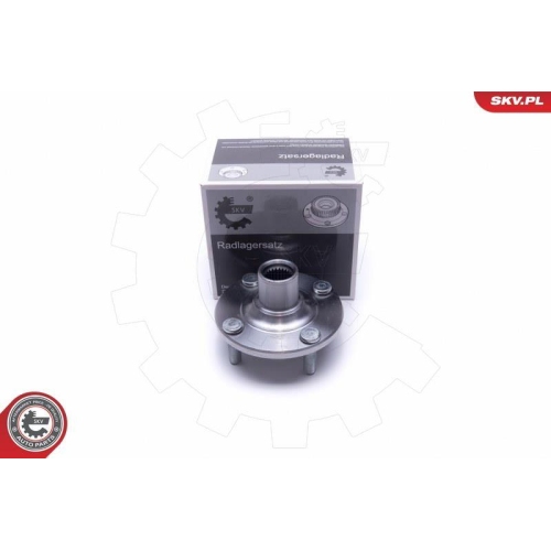 ESEN SKV Radlagersatz