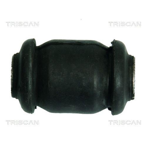 TRISCAN Lagerung, Lenker