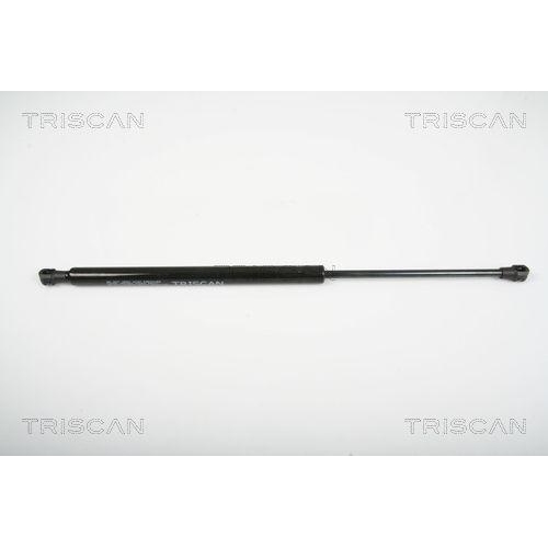 TRISCAN Gasfeder, Heckscheibe