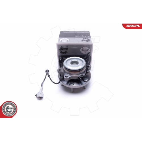 ESEN SKV Radlagersatz