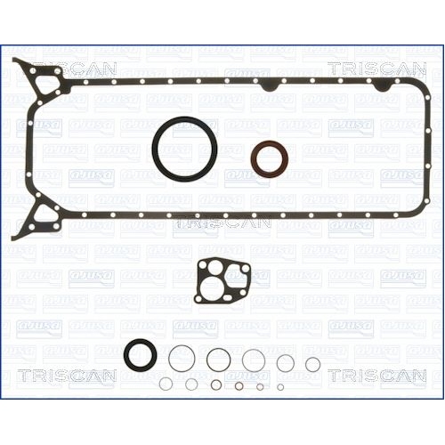 TRISCAN Dichtungssatz, Kurbelgehäuse