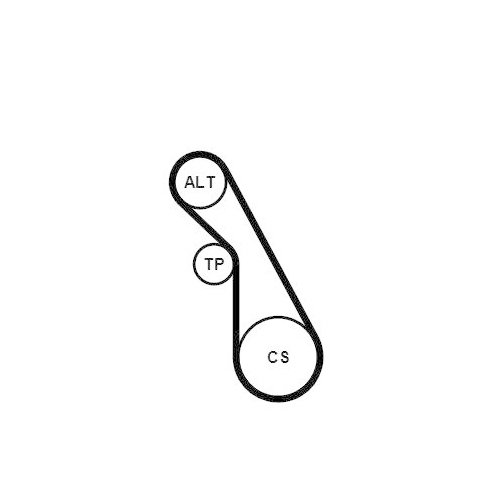 CONTINENTAL CTAM Keilrippenriemensatz