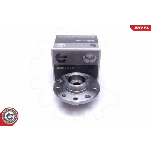 ESEN SKV Radlagersatz