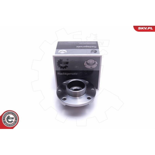 ESEN SKV Radlagersatz