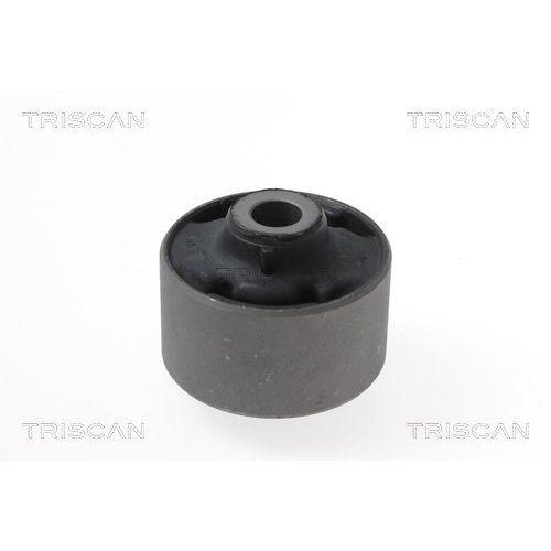 TRISCAN Lagerung, Lenker