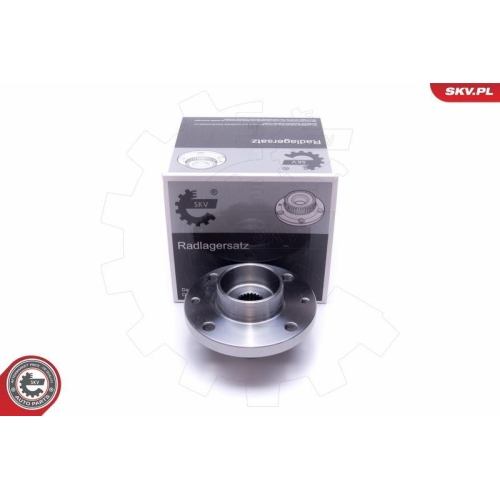 ESEN SKV Radlagersatz