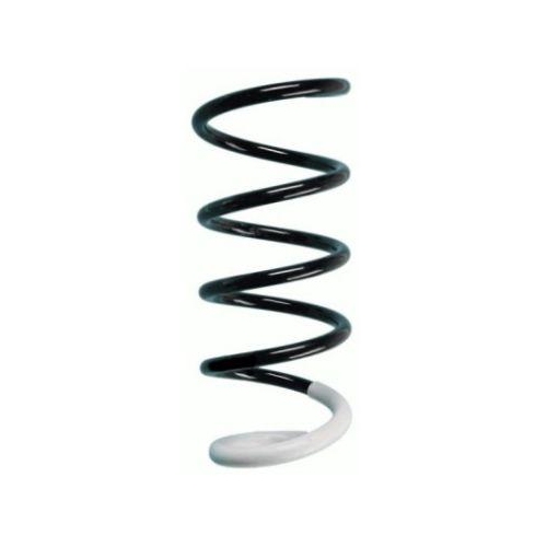 SPIDAN Fahrwerksfeder