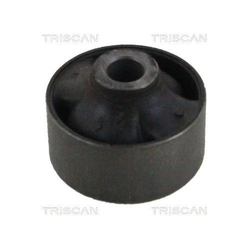 TRISCAN Lagerung, Lenker