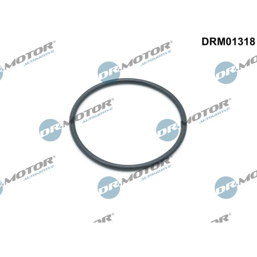 Dr.Motor Automotive Dichtung, Ölfiltergehäuse