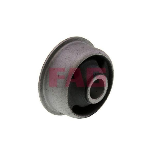 Schaeffler FAG Lagerung, Lenker