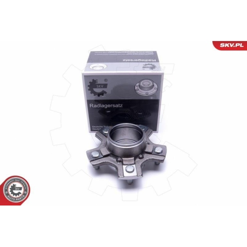 ESEN SKV Radlagersatz