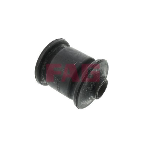 Schaeffler FAG Lagerung, Lenker