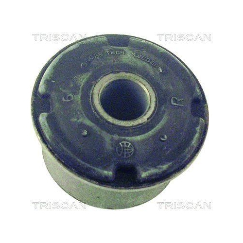 TRISCAN Lagerung, Lenker