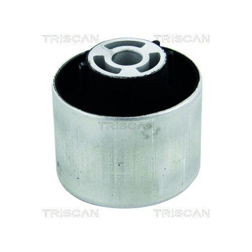 TRISCAN Lagerung, Lenker