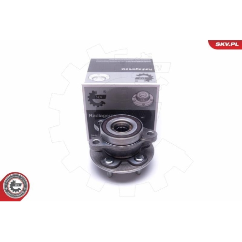 ESEN SKV Radlagersatz