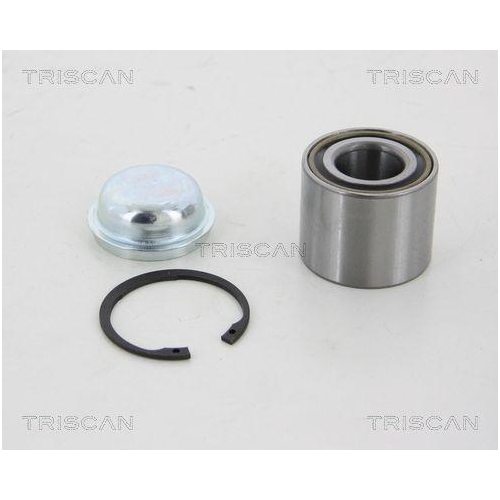 TRISCAN Radlagersatz