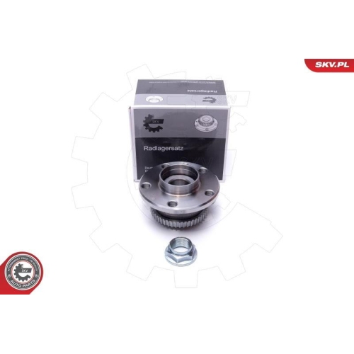 ESEN SKV Radlagersatz