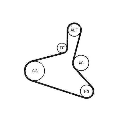 CONTINENTAL CTAM Keilrippenriemensatz