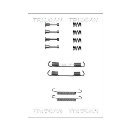 TRISCAN Zubehörsatz, Feststellbremsbacken
