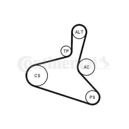 CONTINENTAL CTAM Keilrippenriemensatz