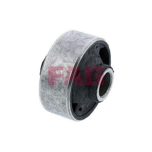 Schaeffler FAG Lagerung, Lenker