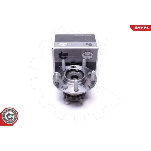 ESEN SKV Radlagersatz