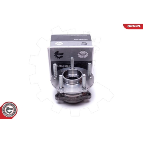 ESEN SKV Radlagersatz