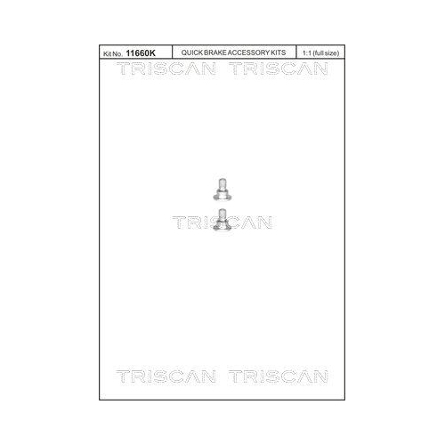 TRISCAN Schraubensatz, Bremsscheibe