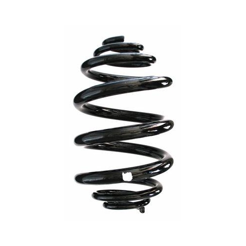 SPIDAN Fahrwerksfeder