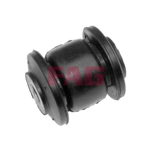 Schaeffler FAG Lagerung, Lenker