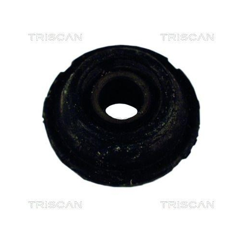 TRISCAN Lagerung, Lenker