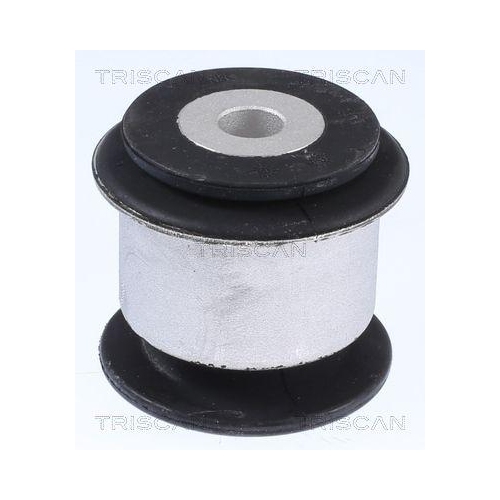 TRISCAN Lagerung, Lenker