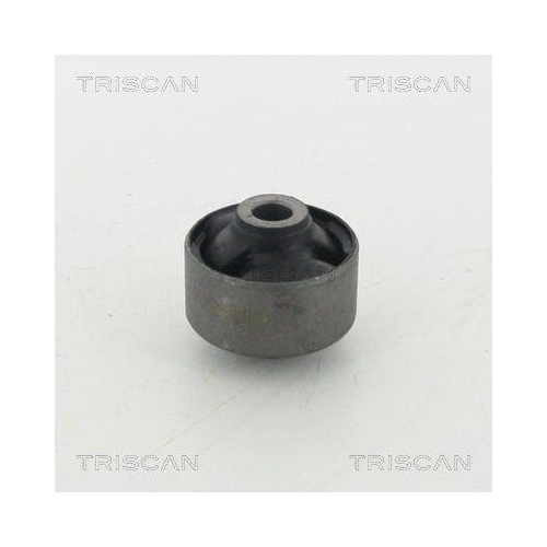 TRISCAN Lagerung, Lenker