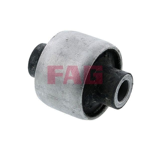 Schaeffler FAG Lagerung, Lenker