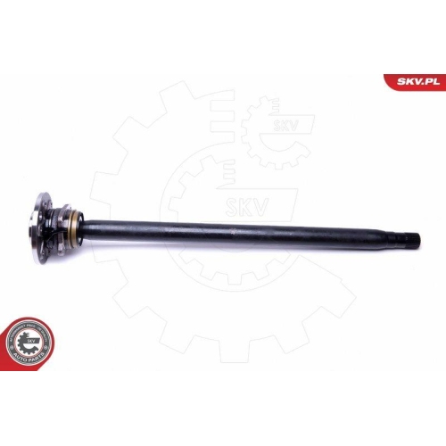 ESEN SKV Radlagersatz