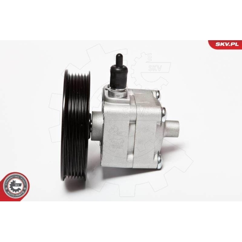 ESEN SKV Hydraulikpumpe, Lenkung