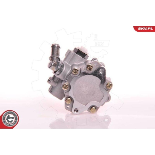 ESEN SKV Hydraulikpumpe, Lenkung