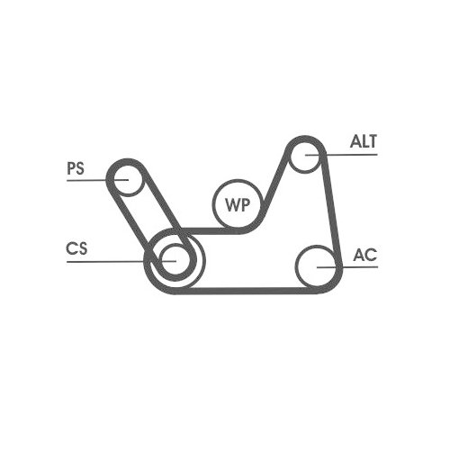 CONTINENTAL CTAM Keilrippenriemensatz